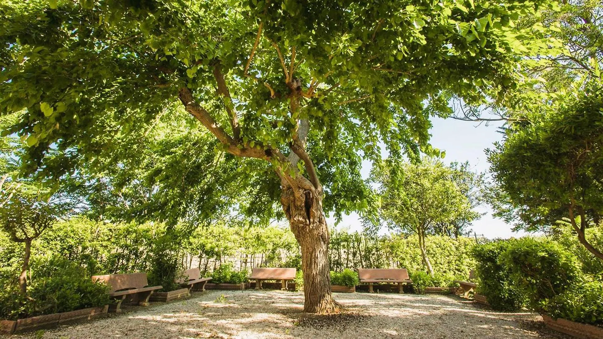 Il Casale Di Donoratico, Residence With Swimming-Pool 0*, دونوراتيكو